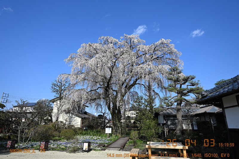 p20260403-151959_DSC_0790_TS.jpg